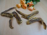 Enten-Flügel