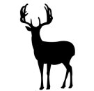 vom Hirsch & Wild