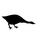 von der Gans