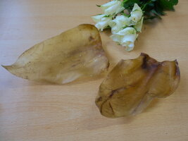 Büffel-Ohren