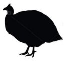 vom Perlhuhn