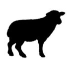 vom Lamm & Schaf