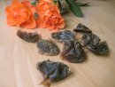 getrockneter Entenmagen 100g