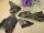 getrocknetes Pferdefleisch