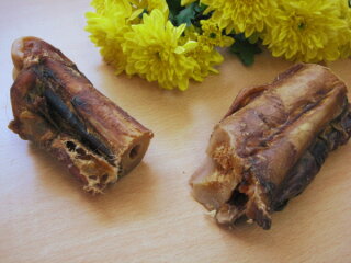 Pferdeknochen-Stücke 5 Stück