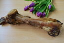 Pferde-Oberschenkel-Knochen - Größe M
