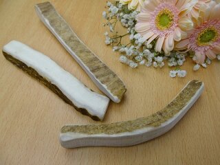 Elch-Geweihstücke - Größe S