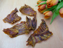 Kaninchen-Rippen