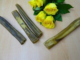 Elchhaut-Rolle S