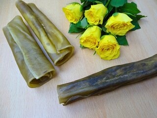 Elchhaut-Rolle M