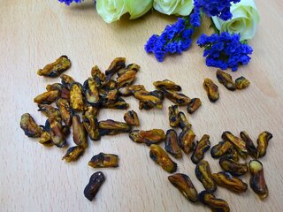 getrocknete Miesmuscheln