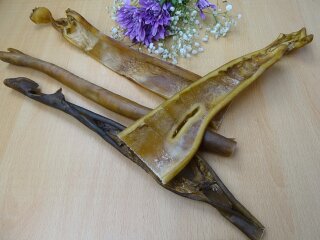 Kamel-Kopfhautstangen - 40cm