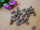 Trainings-Bits 100% Pferd 30g