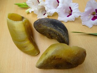 Wasserbüffel-Hufe 200g